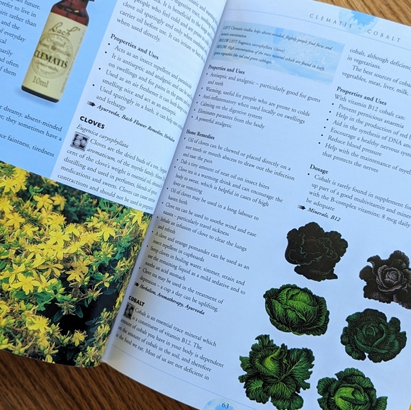 Natural Remedies: An Essential A-Z Guide By Karen Sullivan - Picture 6 of 6